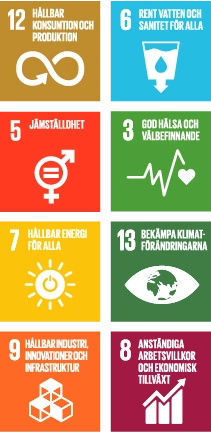 SDG mål mest relevanta för Sandvik: SDG 12 Ansvarsfull konsumtion och produktion, SDG 6 Rent vatten och sanitet, SDG 5 Jämställdhet, SDG 3 God hälsa och välbefinnande, SDG 7 Hållbar energi för alla, SDG 13 Klimatåtgärder, SDG 9 Hållbar industri, innovationer och infrastruktur och SDG 8 Anständiga arbetsvillkor och ekonomisk tillväxt (logos)